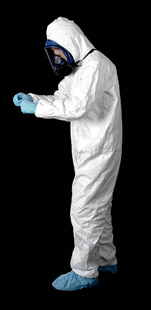 Reliable City View, SC Mold Removal Solutions